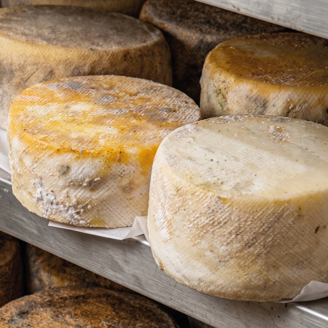Cheese Tour Artesano